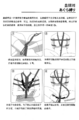 2023年1月1日 (日) 11:27版本的缩略图