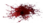 Blood01.png
