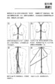 2023年1月1日 (日) 11:27版本的缩略图