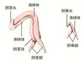 2023年1月1日 (日) 11:34版本的缩略图